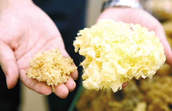 食品中的二氧化硫危害和丝瓜视频污污污